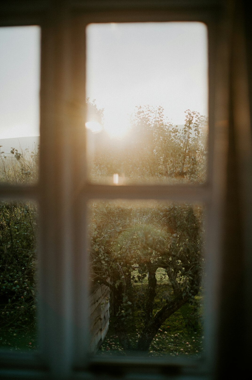 morning sunlight through window